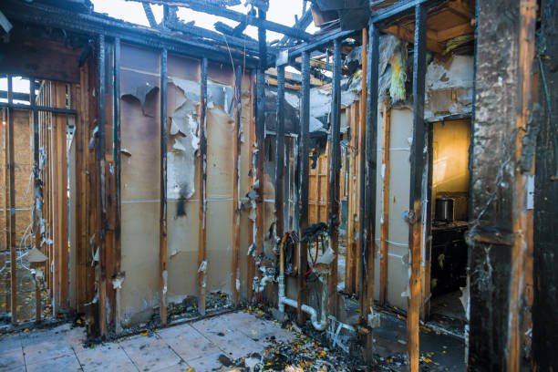 Professional Fire Damage Removal technician working in Montgomery, IL